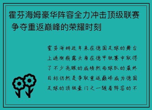霍芬海姆豪华阵容全力冲击顶级联赛 争夺重返巅峰的荣耀时刻
