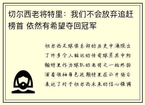 切尔西老将特里：我们不会放弃追赶榜首 依然有希望夺回冠军